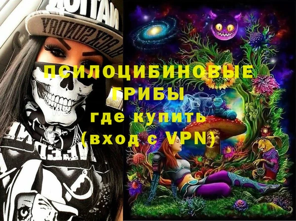 стафф Арсеньев