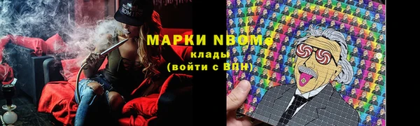 стафф Арсеньев